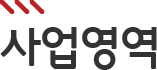 사업영역